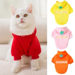 Autumn Winter Pet Clothes Fashion Letter Print Cat Puppy Hoodies for Small Dogs Cats Persian Sphynx Clothing Kitten Coat Outfit