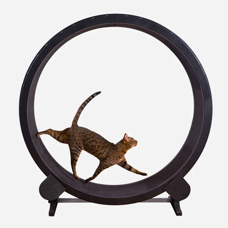 Pet Products Indoor Cat Exercise Wheel Silent Pets Treadmill Fun Cats Exercise Wheel Pet Treadmills Cat Toy Supplies Accessories