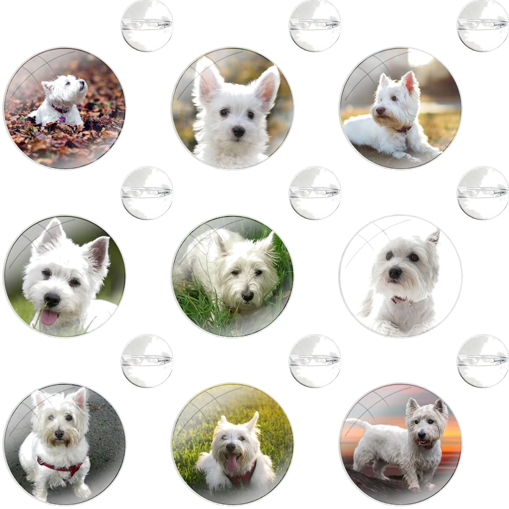 Glass Dome Brooches Badge Pins For Clothes Hat Shirt Lapel Bag Terrier Westie Dog