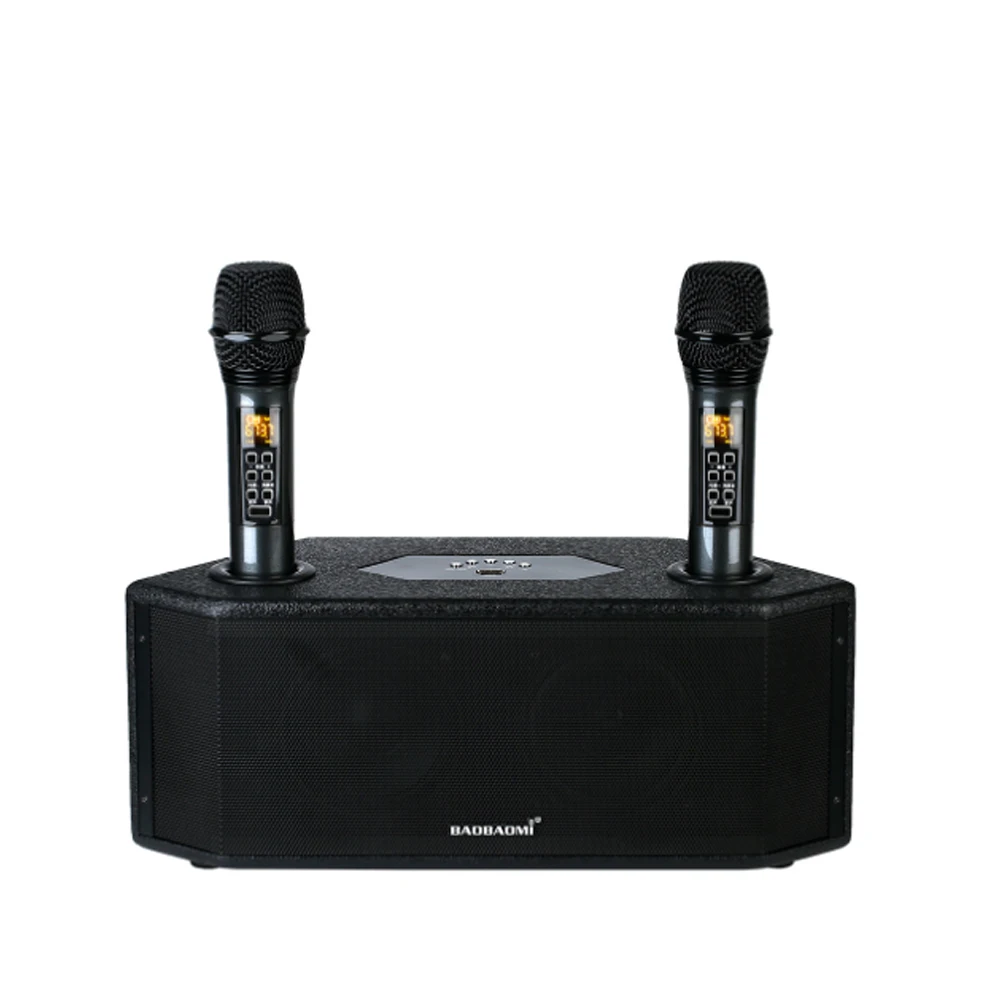 Karaoke Active DSP Portable BT Wireless Speaker with Microphone