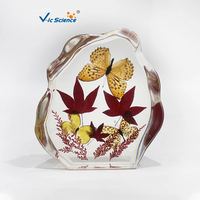 Maple Leaf Butterfly Embedding Specimen Beautiful Table Decorations