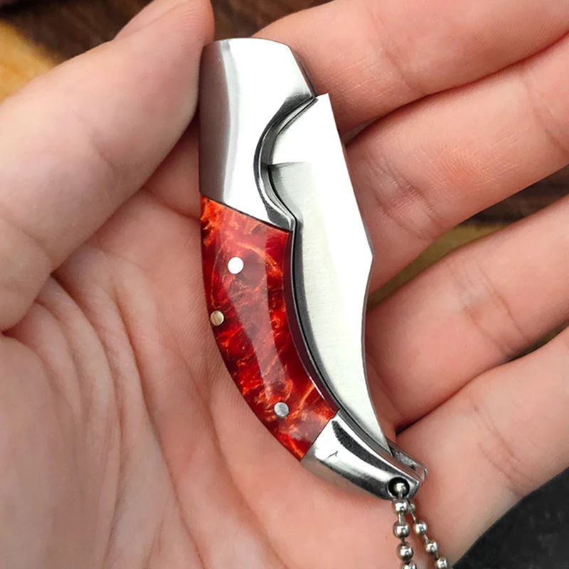 Stainless Steel Folding Knife Camping Knife Barbecue Praing Unpacking Pocket Knife Key Chain Outdoors Fishing Mini Utility Knife