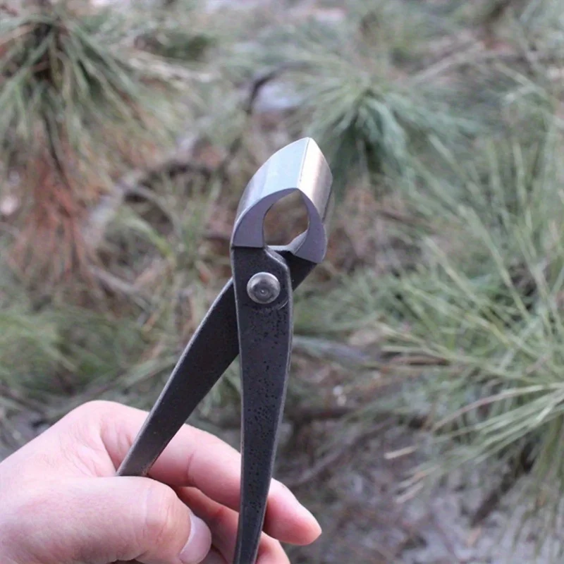 Imagem -04 - Bonsai Root Cutting Alicate Knob Cutter Côncavo Edge Cutter Ball Shear Scissors Landscape Modeling Garden Bonsai Tools 210 mm
