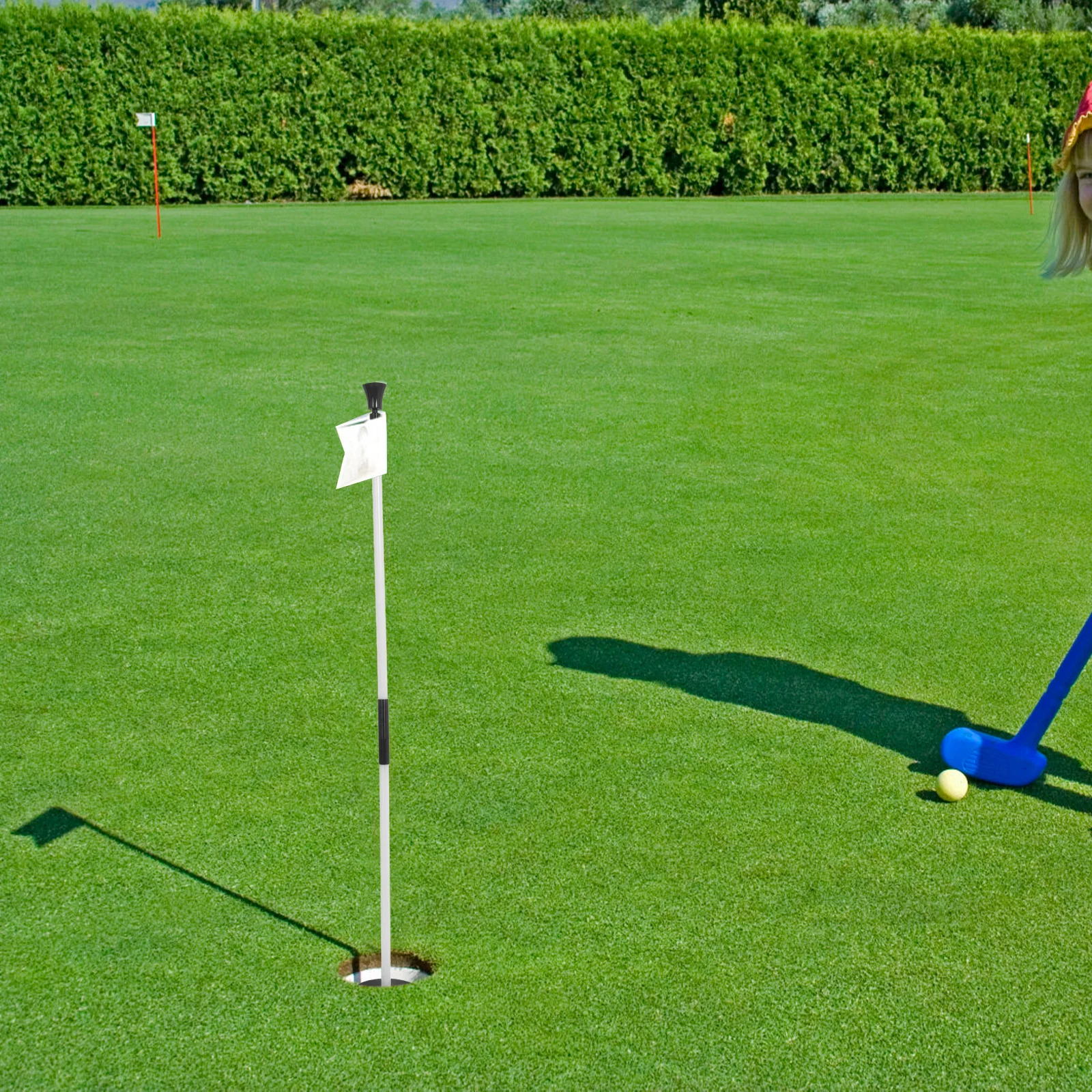 

Sturdy Flagstick Portable Golf Practice Flagpole Retrieval Professional Setup Indoor Outdoor Use Flag Pole