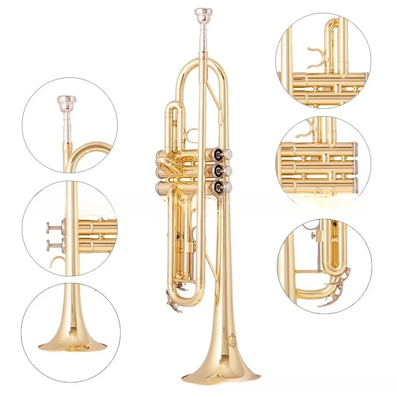 

Source Trumpet musical instruments, three-tone trumpet in B flat, beginner playing exam band teaching Western musical