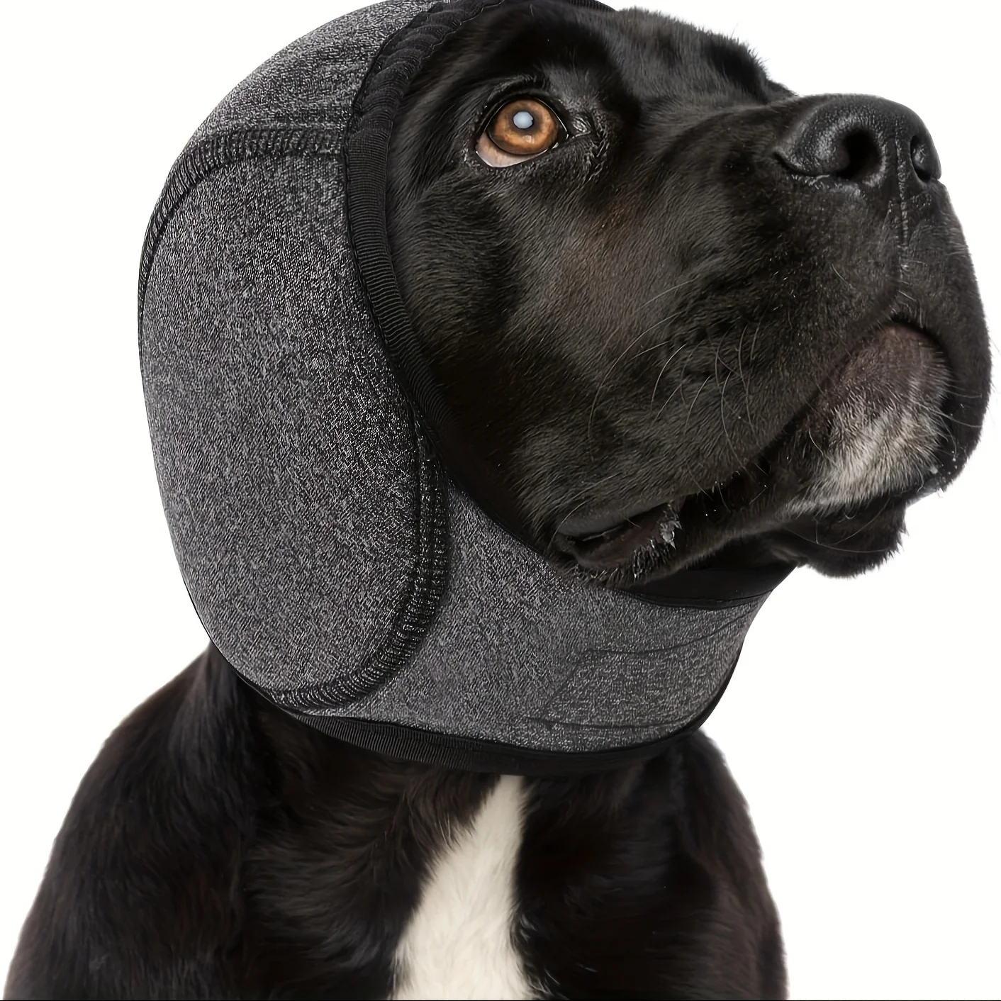 Verstellbare Ohrenschützer für Hunde – Geräuschreduzierung, bequemes, leises Kopfband, beruhigender Kopfwickel, geeignet zum Baden, für die Fellpflege und bei Donnerwetter. – Detail 6