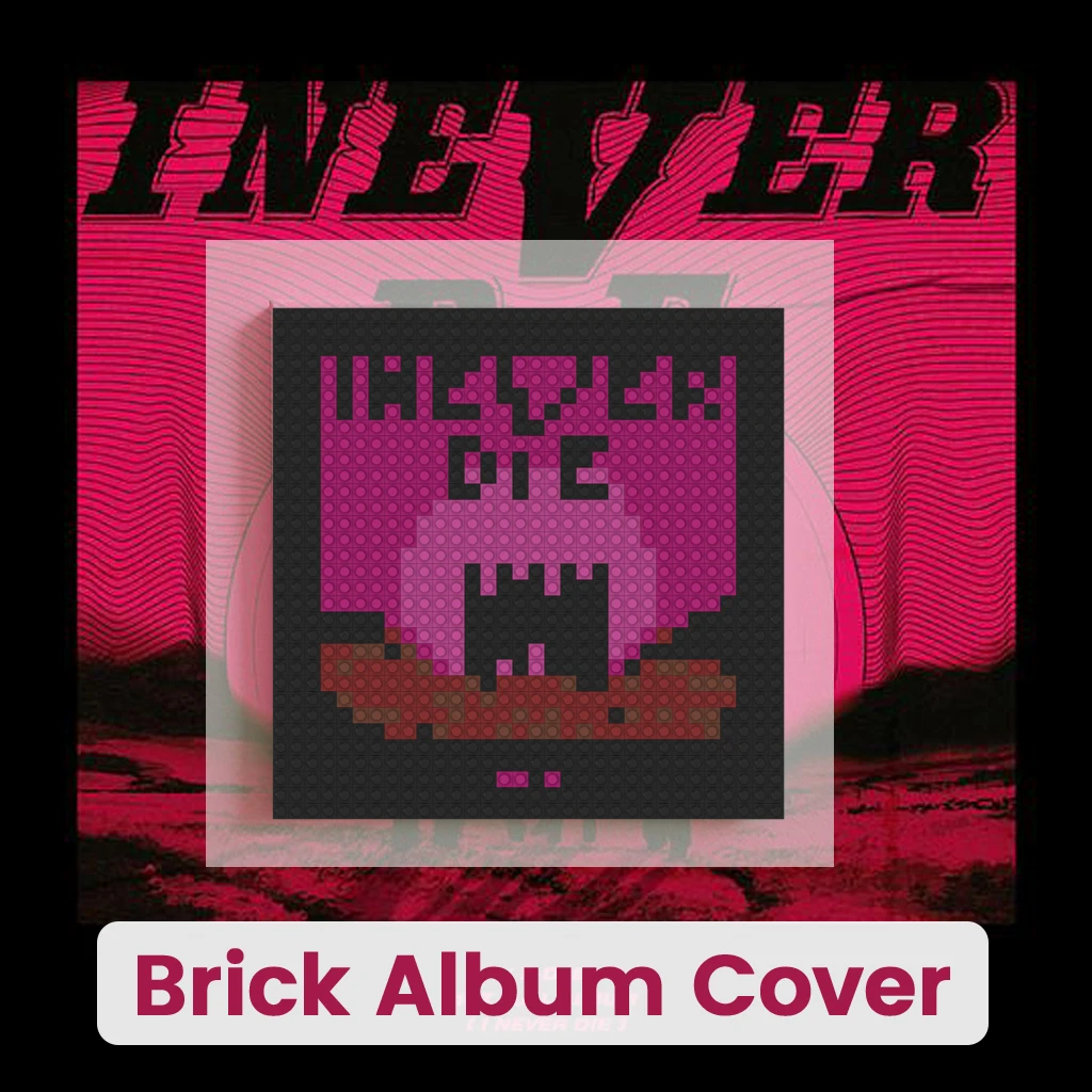

K-Pop Girl Group Building Blocks Brick Mosaic Wall Art Album Pixel Painting Home Living Room Bedroom Decor Music Gift DIY
