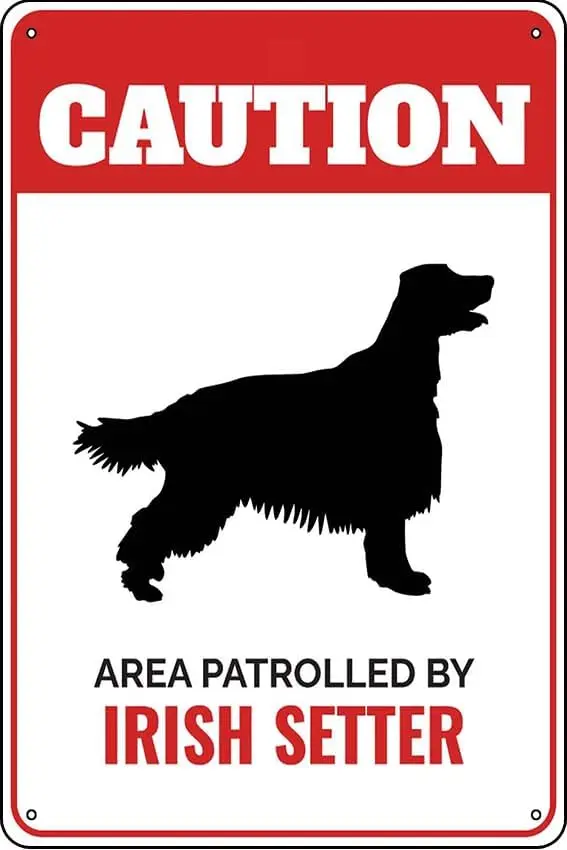 Irish Setter, Irish Setter Lover, Dog Breeds, Gundog Breed Metal sign 8x12 Inch Wall Decor for Home, Office, Bar & Gara sign