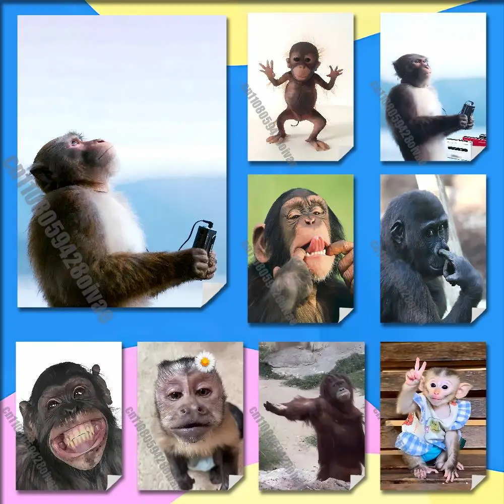 

Monkey Funny Tape Music Poster Wall Murals For Home 21x30cm Self-adhesive Decoration Sticker Playbill Cover