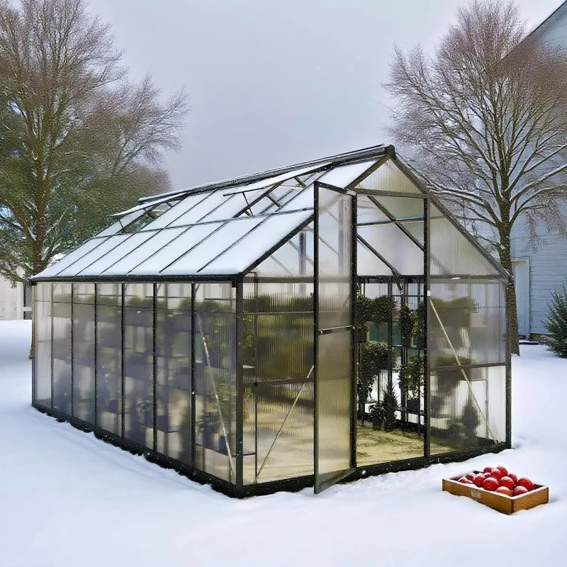 

Aluminum Frame & Roof Vent for Outside Garden Backyard Custom 8x14FT Polycarbonate Greenhouse with Quick Setup