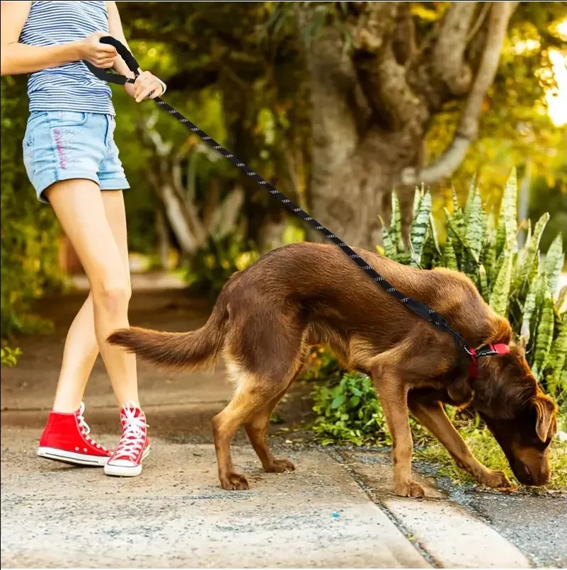 

Pet Supplies Reflective Dog Traction Rope Multi color Round Rope Dogs Chain Dog Strap Comfortable Handle Set Reflective Leash