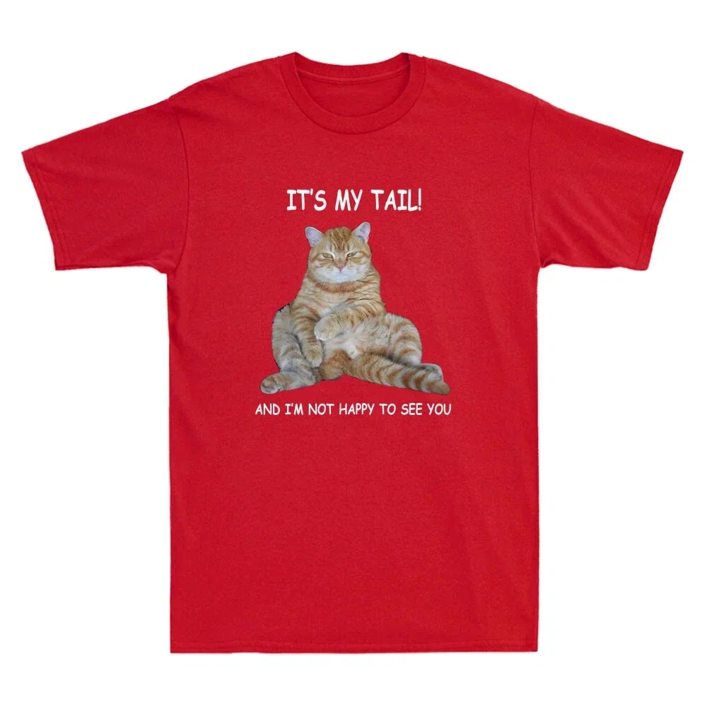 It's My Tail! Tabby Funny Cat Dirty Adult Innuendo Humor Meme Cool Women Tee Comfortable Soft Breathable Women Stylish Clothing