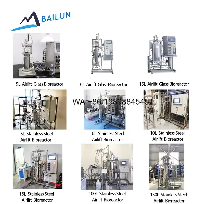 Wmwmnu Cell Culture Airlift Tubular Bioreactor with Low-shear Blade PLC Control Automatic Glass Fermenter