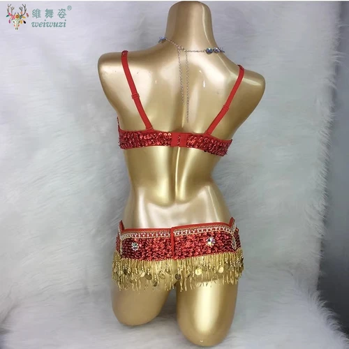 Imagen 2 del producto Traje de danza del vientre Oriental, cinturón de sujetador, 2 uds., Ropa de baile bordada con cuentas hecha a mano para mujeres, trajes de baile de rendimiento egipcio