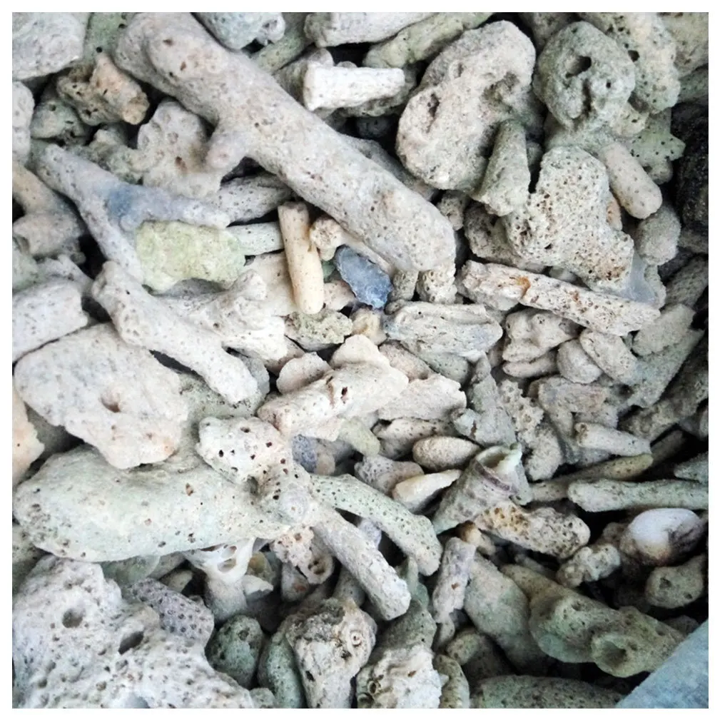 

3pcs 500G Coral Sand For Aquarium Filter Material Natural Biological Filtration Media Alkaline Water Enhancer For Fish Tank