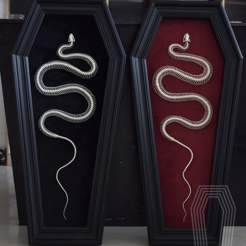 2017 Handmade Coffin Frame Snake Skeleton Picture Frame Hanging Picture Specimen Decoration Pendulum Artwork Room Decoration