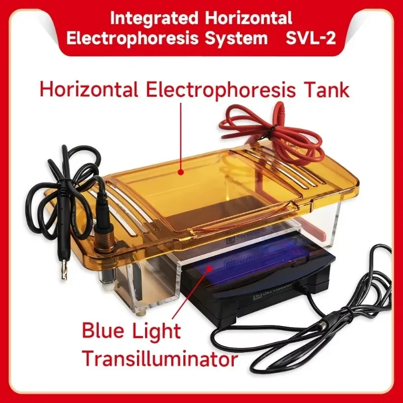 

【Best-selling】Portable Integrated Electrophoresis System Horizontal Electrophoresis Tank Electrophoresis Apparatus for PCR Lab