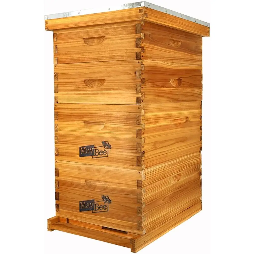 Stroth Hive getaucht in 100 % Schwachs, komplettes Hives und Supplies Starter Kit enthält 2 Deep Hive Box und 2 Hive Super mit Hivs und