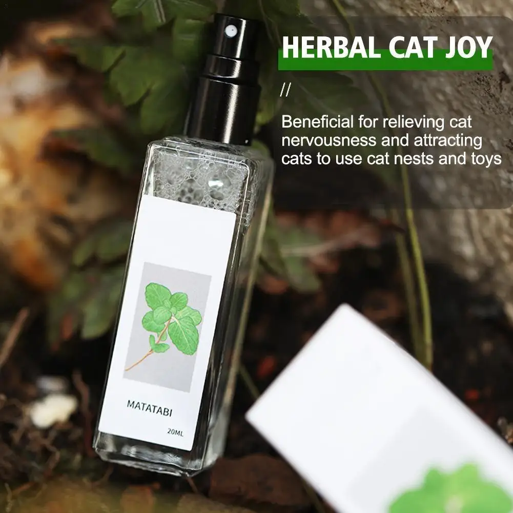 1pc/3pcsHerbal Cat Joy Celery Pets Safe Long-term Effect Catnip Spray For CatKittens Inducer Cat Pet Training Toys For Cats Gift