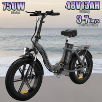 Electric Bike 750W Motor 48V13AH Battery Double Shock Absorber Electric Bicycle 20-Inch Fat Fetus All Terrain Folding E-Bike