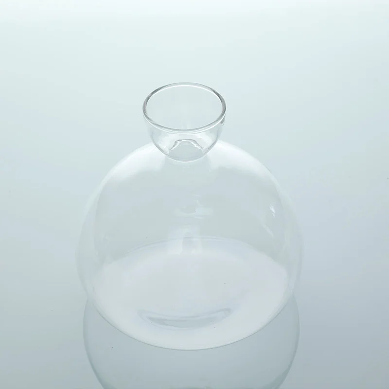 Avocado Seed Starter Vase Transparent Glass Vase Vase For Growing Plant Glass Seed Growing Kit For Gardening Lovers