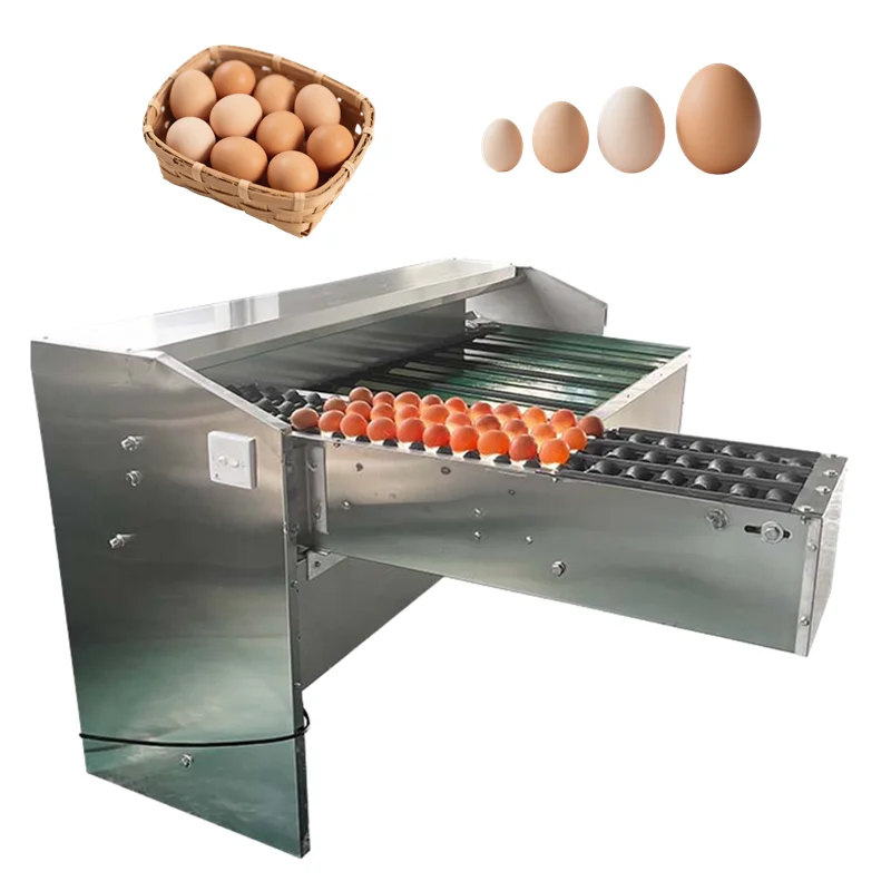 Precision Digital Egg Weighing Machine Large Scale Commercial Poultry Farm Automatic Egg Grading Machine Egg Sorting Machine