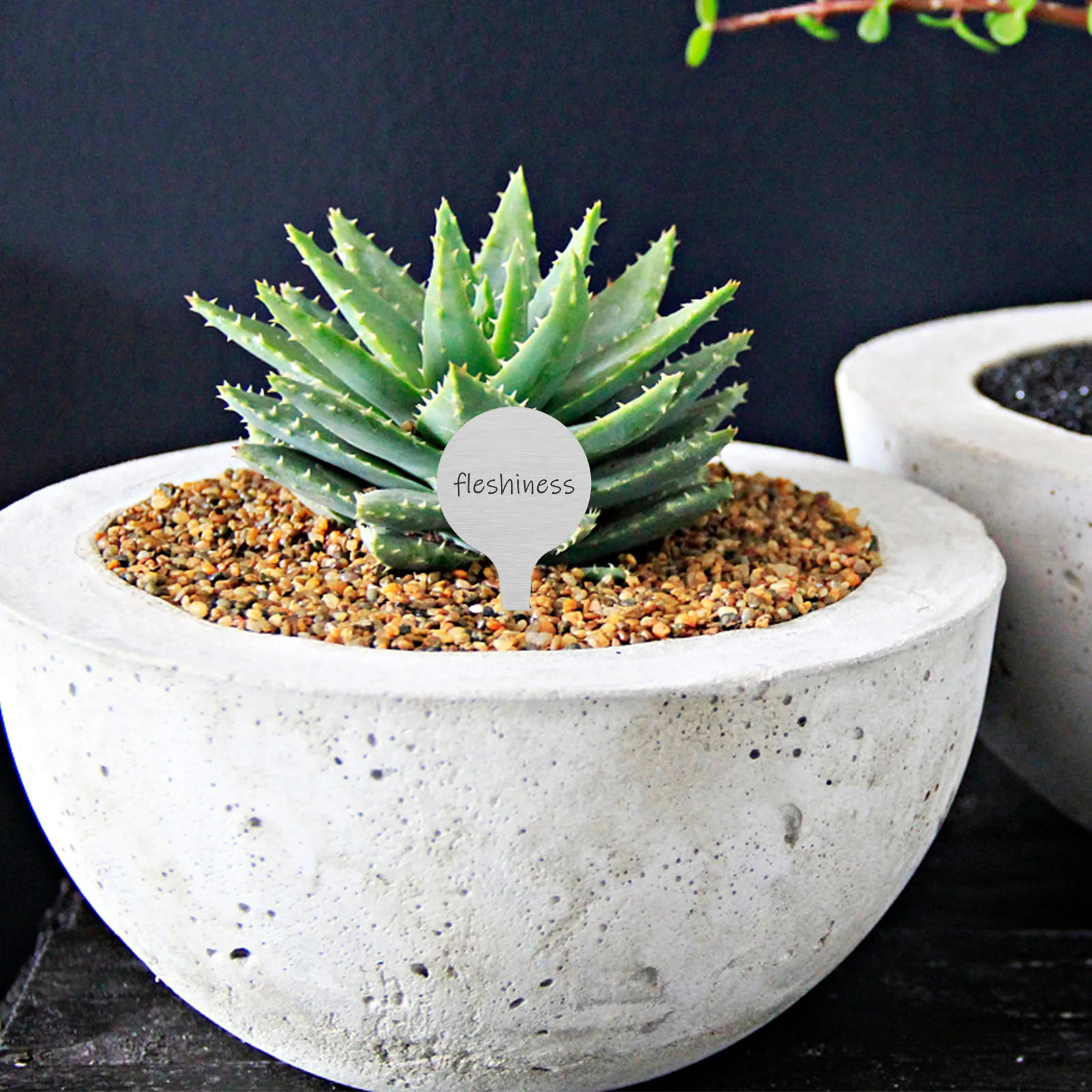 

50Pcs Plant Labels Stainless Steel Metal Gardening Markers Reusable Waterproof Sunproof for Vegetable Herb Flower Identification