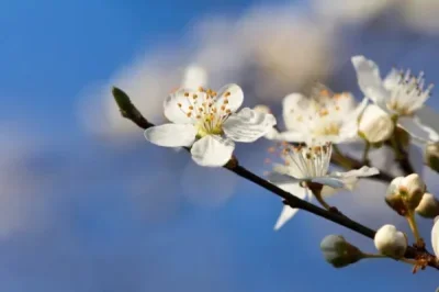 

Полный комплект передних и задних портальных осей для радиоуправляемых краулеров 1/24 Axial SCX24 Gladiator Bronco C10 Deadbolt JLU