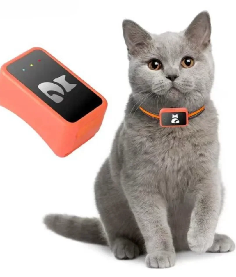 

4G 2G GPS Pet Tracker Animal Tracker Collar Anti-Lost Real Time Tracking Dog Cat Locator Pet Fashion Neck Collar
