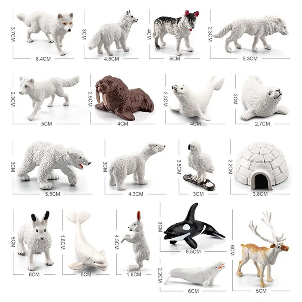 Figurines d'animaux d'Auckland, jouet éducatif, figurines d'action miniatures pour enfants, 18 pièces