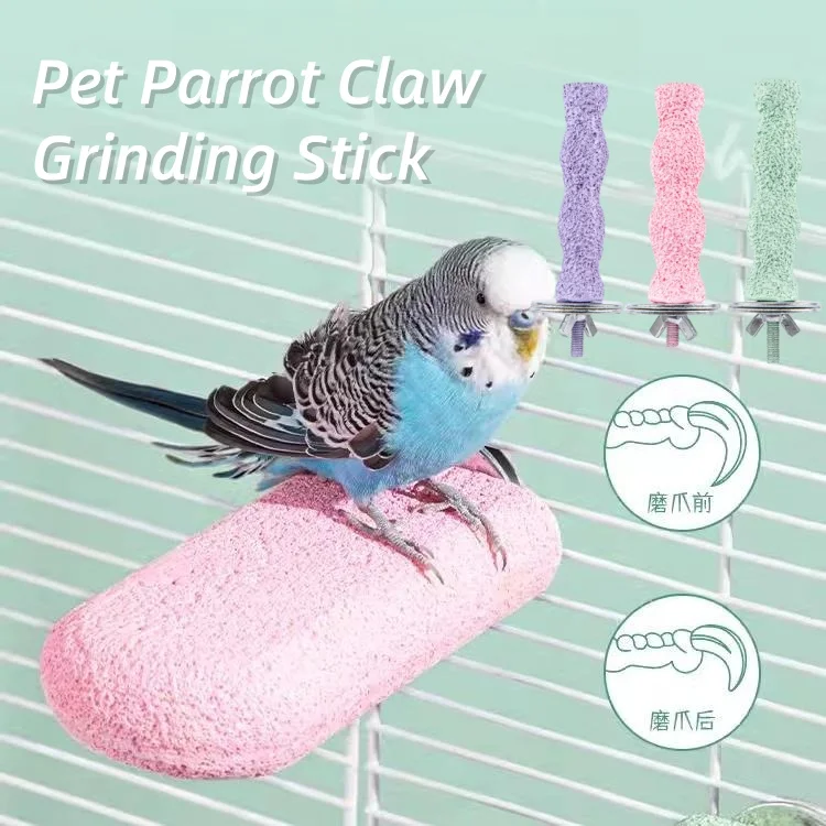 Pet Parrot Claw Gri…