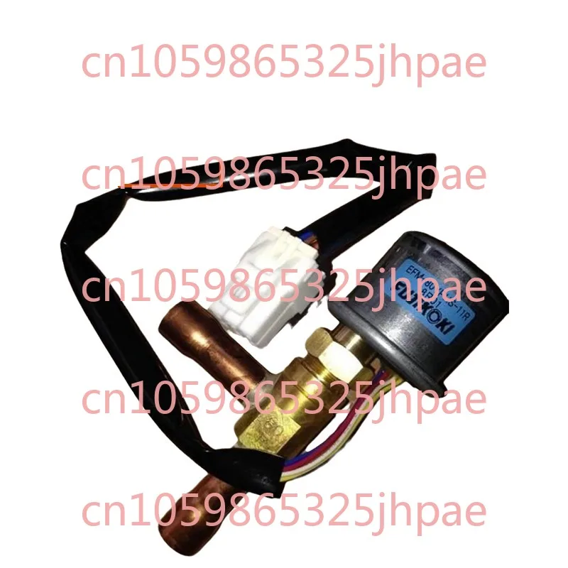 Electronic Expansio… - image