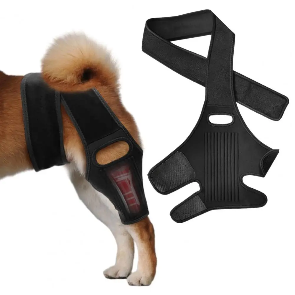 Pet Recovery Belt Dog Leg Brace Protective Dog Knee Hip Brace Supportive Dog Leg Wrap Pet Leg Injury Rehabilitation Pet Supplies