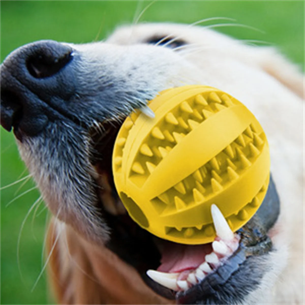 Natural Rubber Pet Dog Toys Dog Chew Toys Tooth Cleaning Treat Ball Extra-tough Interactive Elasticity Ball5cm for Pet Products