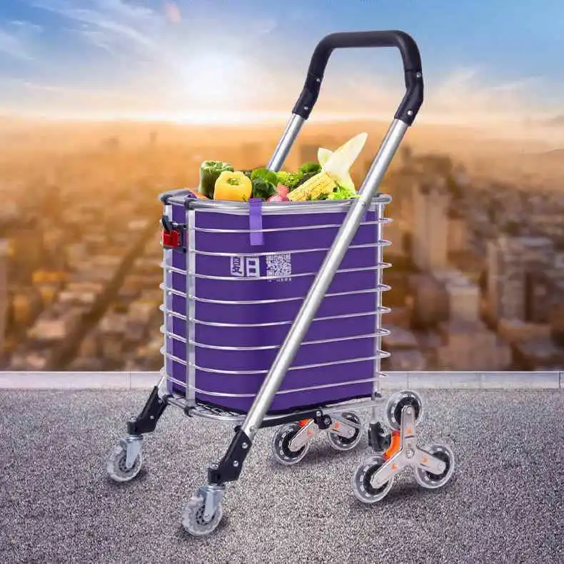 chariot-de-courses-portable-en-acier-inoxydable-petit-chariot-a-main-pliable-pour-monter-les-escaliers-ideal-pour-les-personnes-agees-a-domicile-pour-les-courses-de-legumes