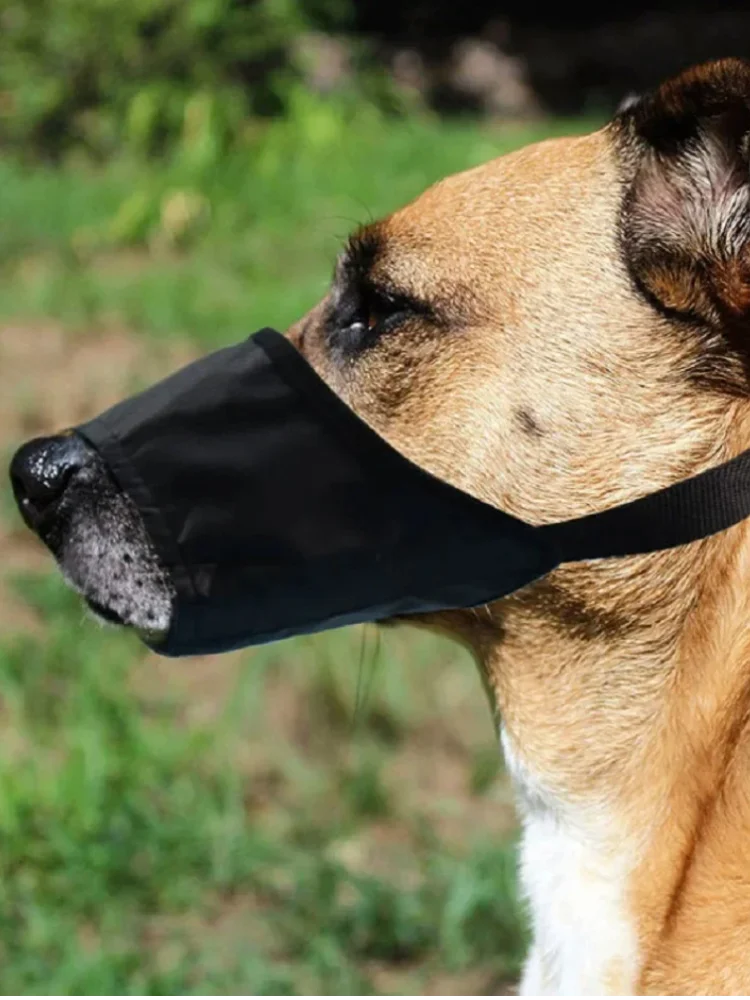 Masque pour chien pour petits, moyens et grands chiens, masque en Nylon souple avec boucle de sécurité, masque pour chiot, arrêter de mordre, aboiement, accessoires pour chiens
