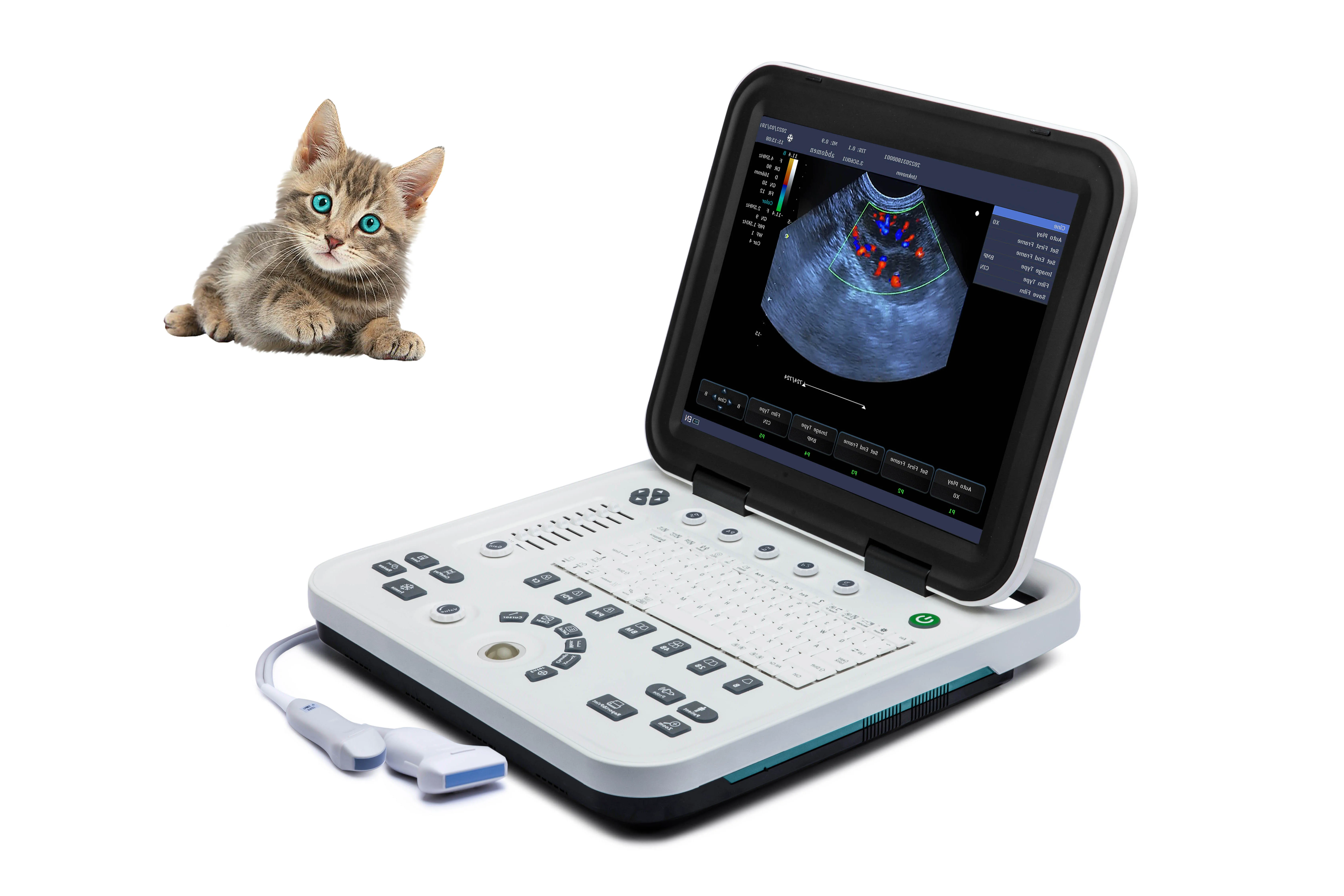 portable color doppler ultrasound machine veterinary instrument ultrasound scanner  ultrasound instruments