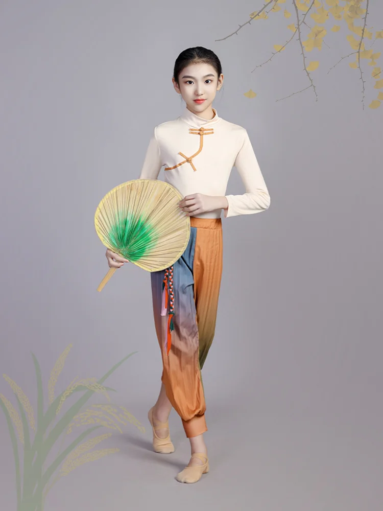 

Chinese Classic Yangko Dance Costume National Fan Dancewear for Stage Performance Umbrella Dancing Clothing Folk Outfit