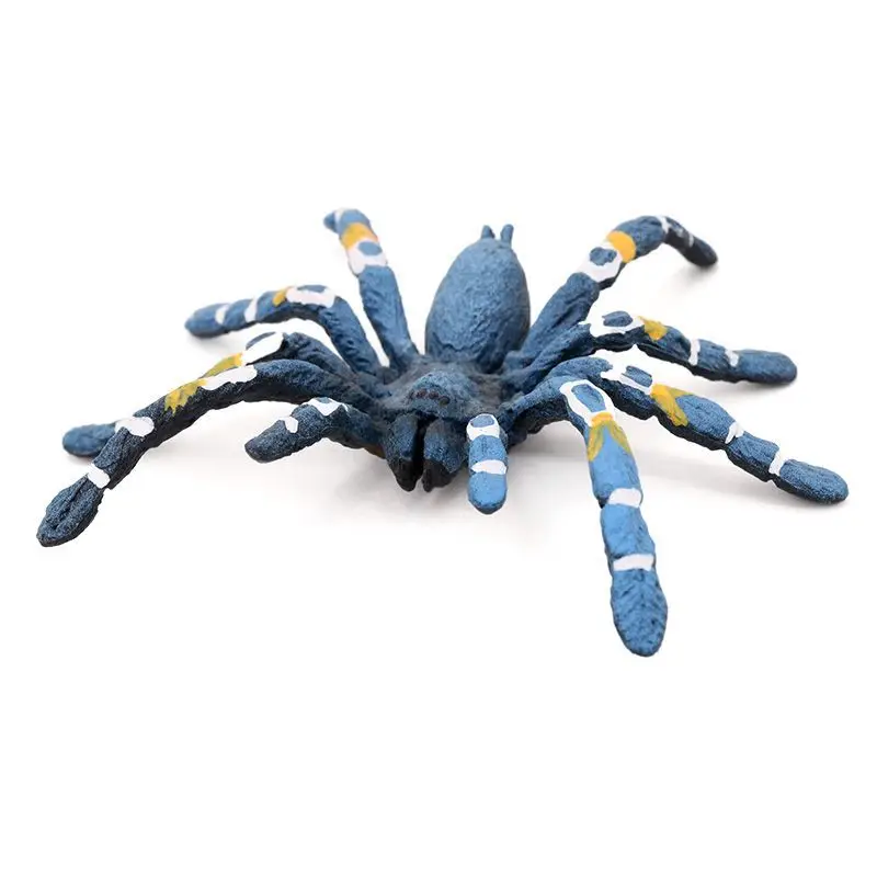 Simulation animal model Brazilian blue bird-catching bird-catching spider, children's cognitive home potted plant ornament