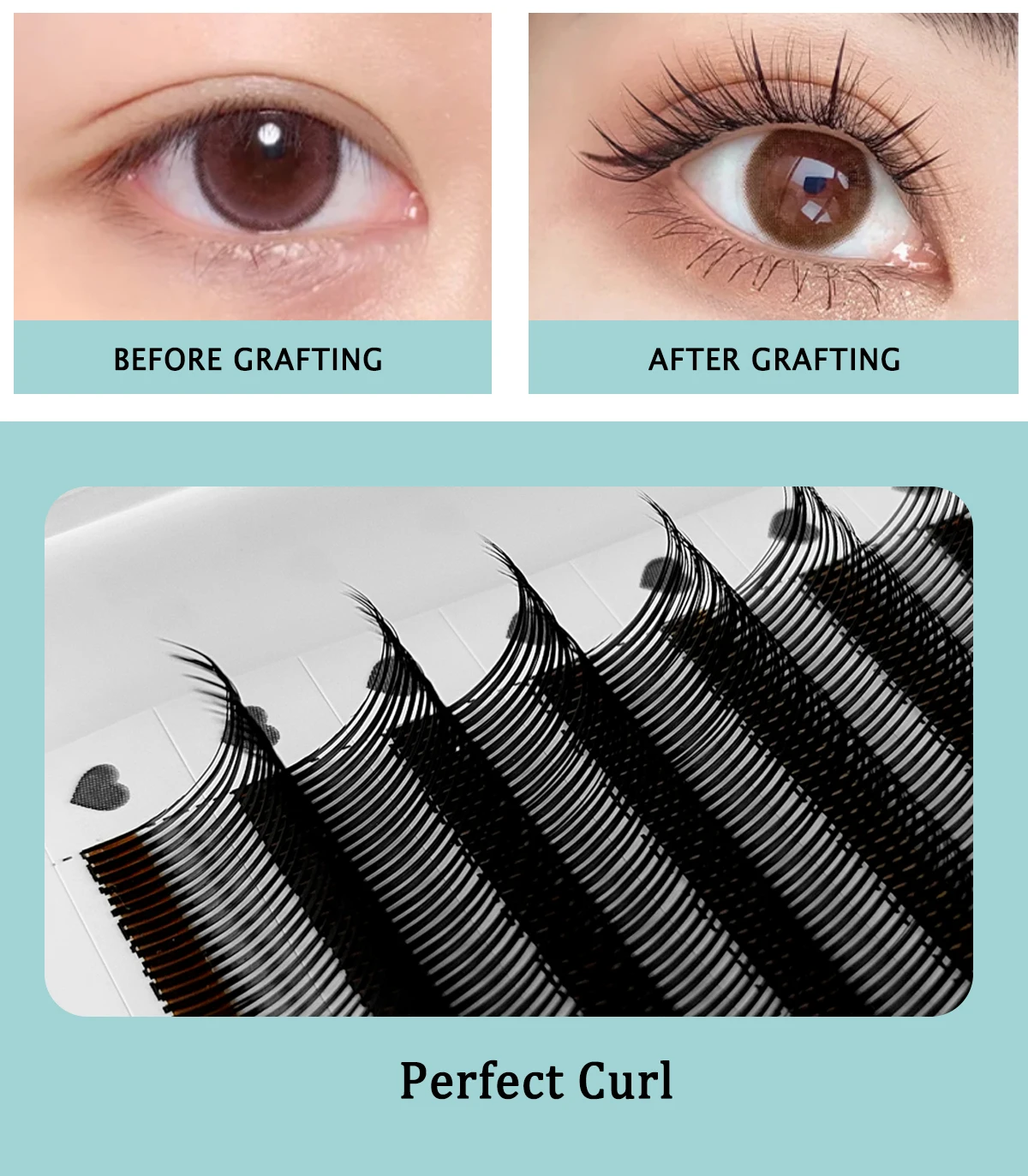CoMango 5D Flora Wimpern 0,07 mm Easy Fan Wimpernverlängerung Großhandel vorgefertigtes Volumen 12 Reihen natürliche weiche Wimpern – Detail 3