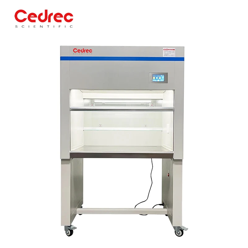 High Quality Vertical Laminar Flow Cabinet with HEPA Filter Laboratory Furniture Clean Room for Labs & School