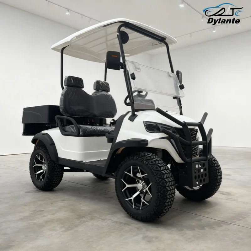 

Street Legal 4-колесный автомобиль для гольфа с литиевой батареей, 2 сиденья, 5 кВт/7,5 Вт, экскурсионный скутер, электрическая тележка для гольфа на солнечной энергии с задним грузовым ящиком