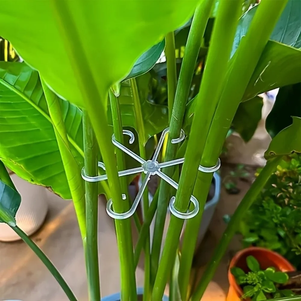 4Pcs Plant Stem Support Clips Horticultural Branch Fixator Hydroponic Plant Stem Fixing Holder Universal Plant Vine Support Clip