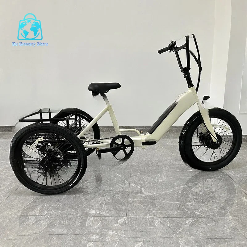 20-Inch wide tire electric pedal tricycle electric power aluminum alloy positive tricycle lithium battery elderly travel