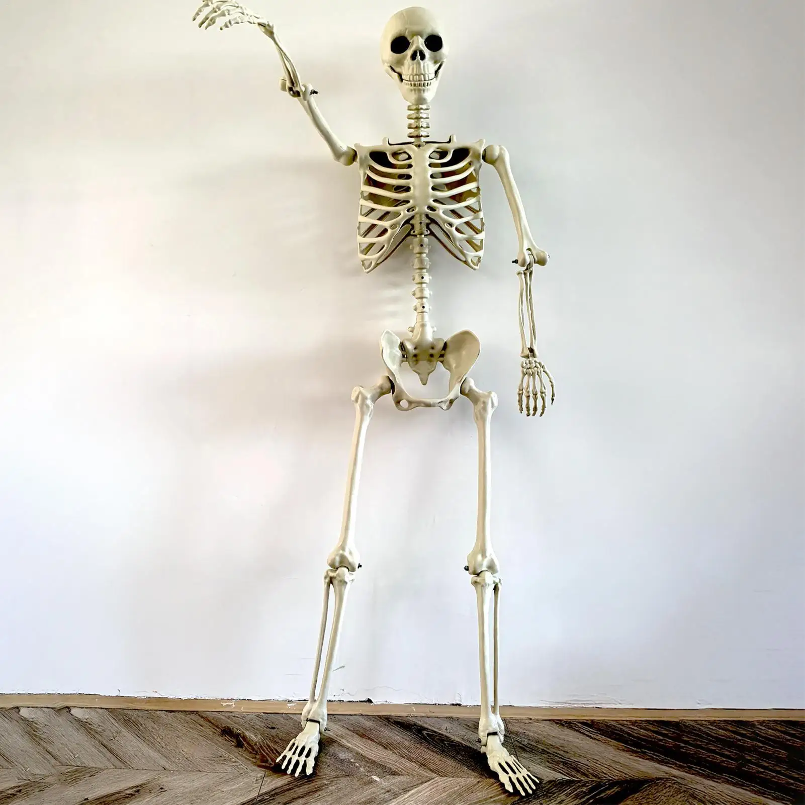 Halloween Realistische Körperskelette in Lebensgröße mit Beweglichen Gelenken, Simulierter Schädel, Geisterhaus-Horror-Requisiten – Detail 13