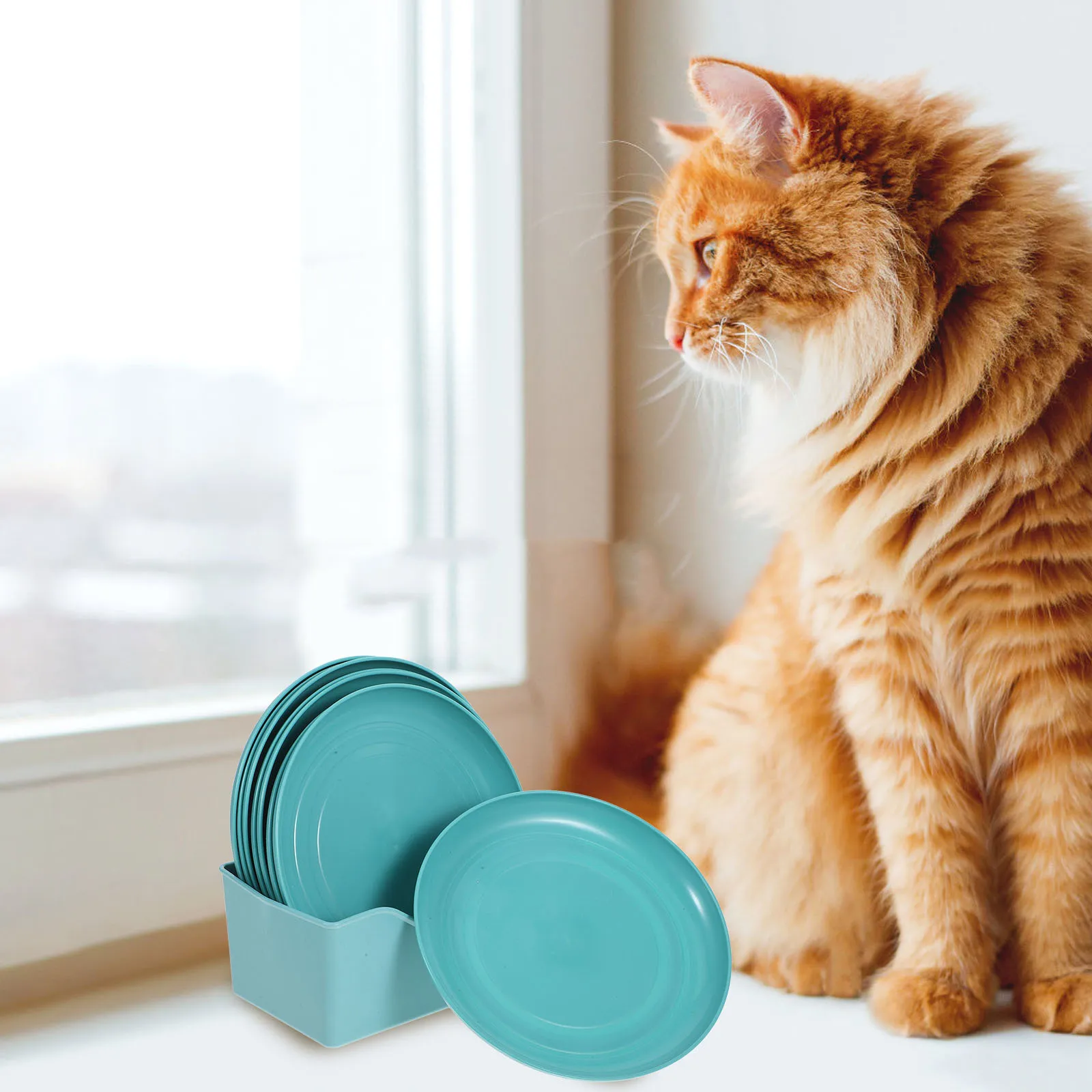 

8Pcs Cat Bowls Set Shallow Skyblue Dishes for Kittens and Short-Legged Cats Versatile Use in Home Interiors Unbreakable