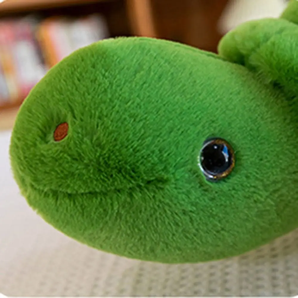 

Fluffy Poached egg Tortoise Plush Toys Collection Cartoon Turtle Stuffed Doll Soft 35cm Turtle Animal Doll Car Decor