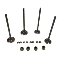 For Zongshen NC250 ZS177MM 250Cc Dirt Bike Intake& Exhaust Valves For Bse Kayo T6 BSE RX3 ZS250GY-3