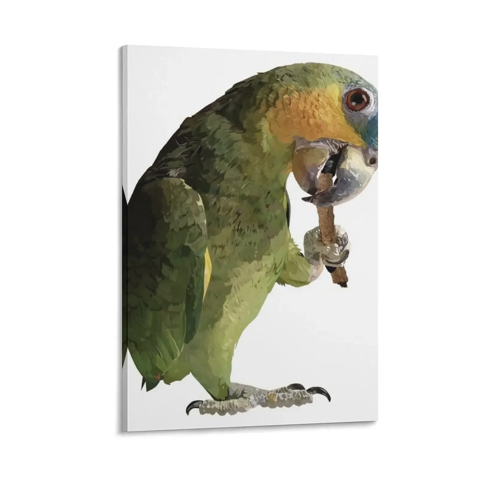 

Orange-winged Amazon Canvas Painting modern home decoration anime poster home decoration luxury Decoration for home