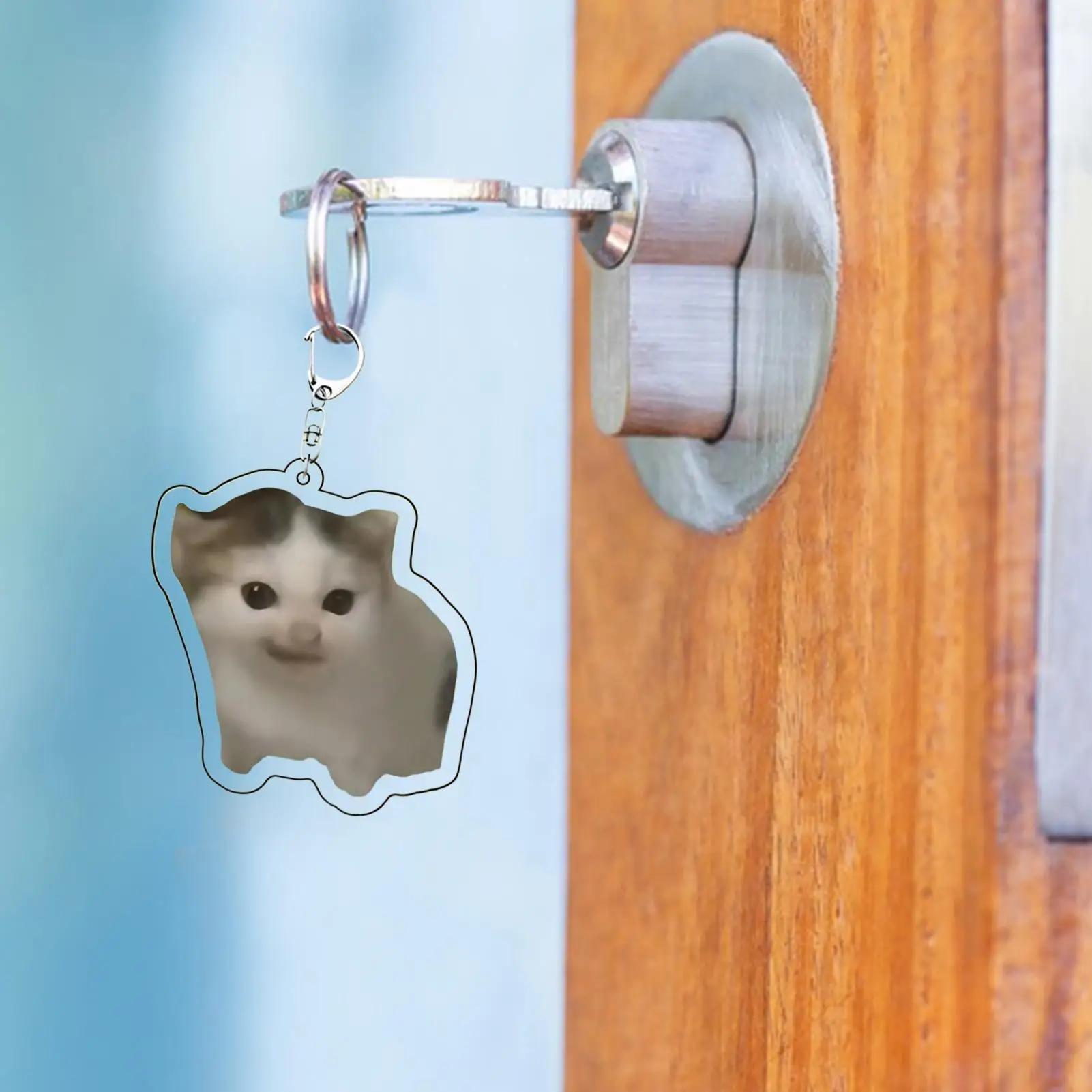 Cat Keychain Funny Cat Acrylic Keychain Collectible Charm Fashion Ornament Animal Character For Teens Adults Couples Friends